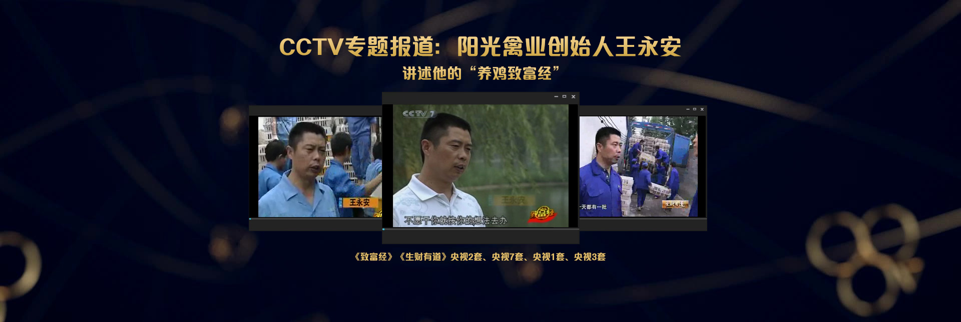 漯河阳光禽业蛋鸡苗孵化海兰褐蛋鸡苗批发海兰灰青年鸡