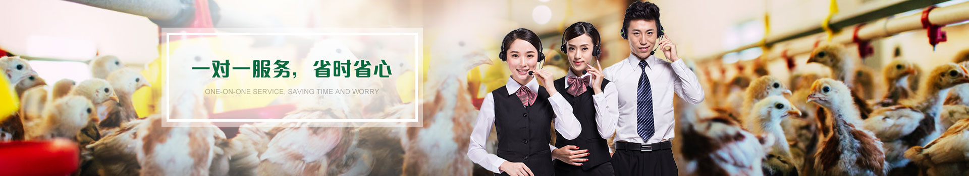 阳光禽业一对一服务,省时省心