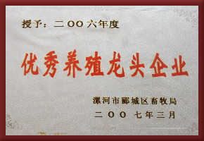 荣誉资质