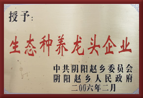 荣誉资质