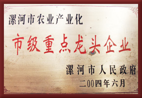 荣誉资质