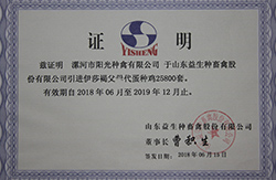 阳光禽业产品质量