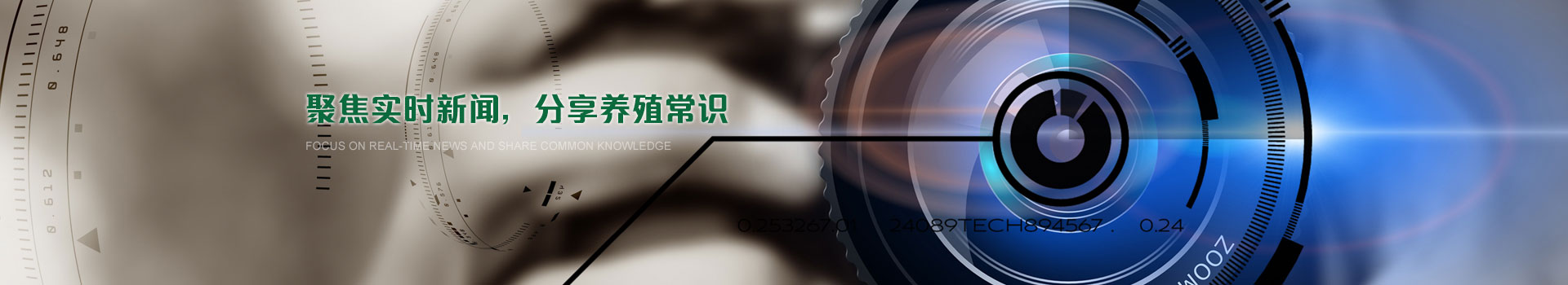 阳光禽业聚焦实时新闻,分享养殖常识