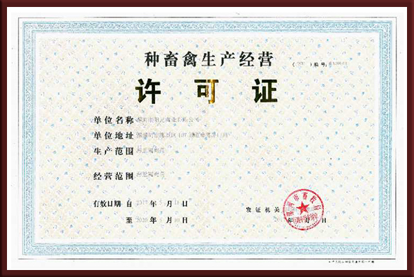 种鸡生产经营许可证