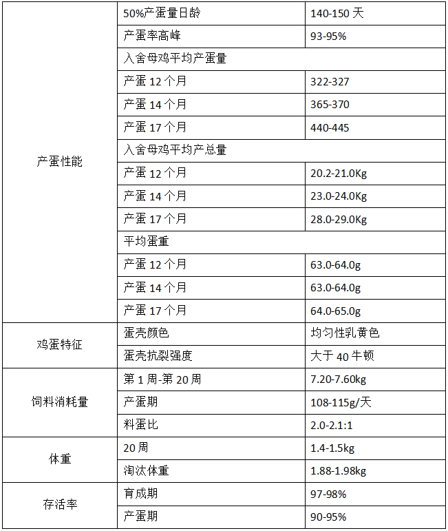 罗曼粉蛋鸡体重标准表图片