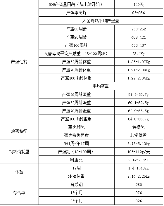 海兰褐生产性能