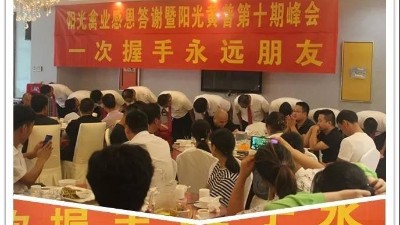 阳光禽业  蛋种鸡