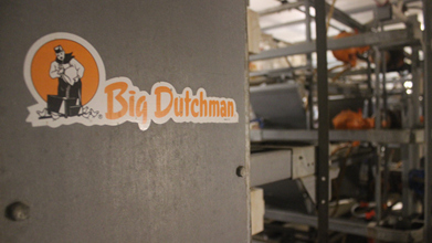 进口大荷兰人育雏设备