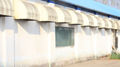 河南青年鸡育雏场